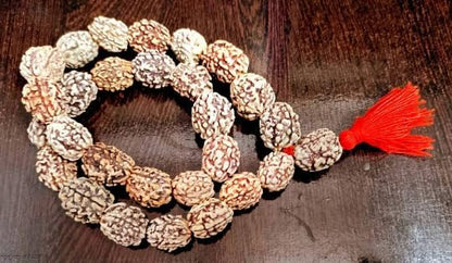 Rudraksh Mala, Natural Himalayan Genuine Original Rudraksha Rosary - style: 3 FaceRudraksh mala 34 Beads 15-20mm