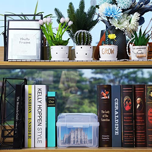 Yungyan 2 Count 4 x 6 Inch Photo Storage Boxes Craft Organizer Cases Picture 12 Inner Photo Cases Plastic Box Scrapbooking Clear Containers Storage Box for Photos Seeds Card Stamps Tasks Stickers
