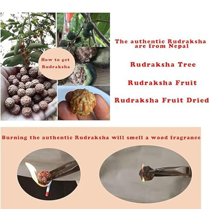 KIKILA Handmade 5 Mukhi Rudraksha Bracelet Beaded Meditation Wrist Tibetan Bracelet Japa Prayer Charm Bracelets