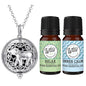 Wild Essentials Elephant Essential Oil Diffuser Necklace Gift Set with Inner Calm & Relax Oils – Nickel Free Alloy Pendant with 12 Color Pads – USA Made Oils & Perfume Necklace – Family Company - color: Silver Elephant, size: 2 Oils