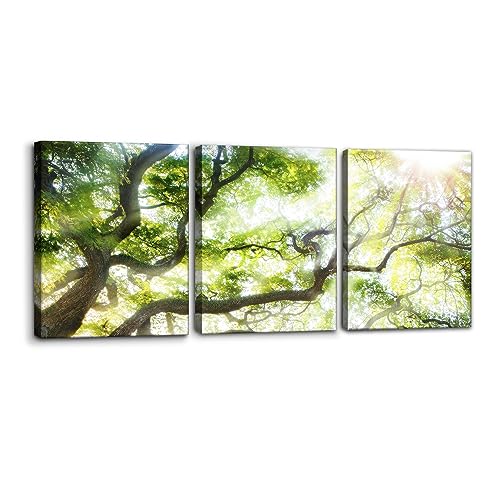 Green Nature Wall Art Canvas Painting Sunshine Over Forest Green Trees Landscape Posters and Prints Decorative Modern Home Decoration Wall Home Decor Wall Art for Living Room - 12" x 16" x 3 Panels - color: Wallart-04, size: 12" x 16" x 3 panels