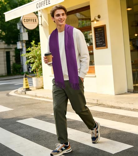 Winter Soft Long Scarf, Pashmina Shawls and Wraps, Warm Large Scarves for Men Women Evening Dress Wedding - color: Purple