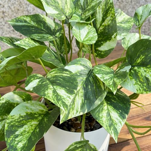 Artificial Plants Faux Pothos with Plastic White Pot Artificial Potted Plant for Home Office Bedroom Indoor Outdoor Decor 1 Pack(Light Green)