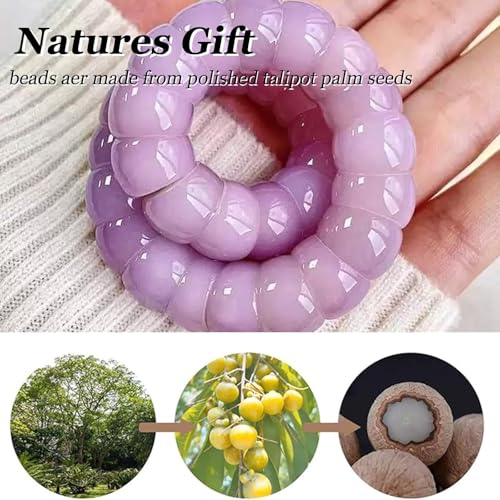 Natural Bodhi Seed Bracelets Anxiety Fidget Bracelets Anxiety Relief Items Protection Healing Stretch Bodhi Fidget Bracelet for Women Men - color: A3:Purple