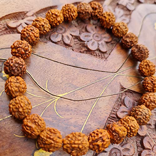 Rudraksha Bracelet for Men & Women's 2 Face, 3 Mukhi, 4 Mukhi, 5 Face, 6 Mukhi, 7 Mukhi, 8 Mukhi, 9 Mukhi, 10 Mukhi, 11 Mukhi Himalayan Rudraksha Beads Wrist Band for Yoga, Meditation, Healing - style: 5 Mukhi - Five Faced