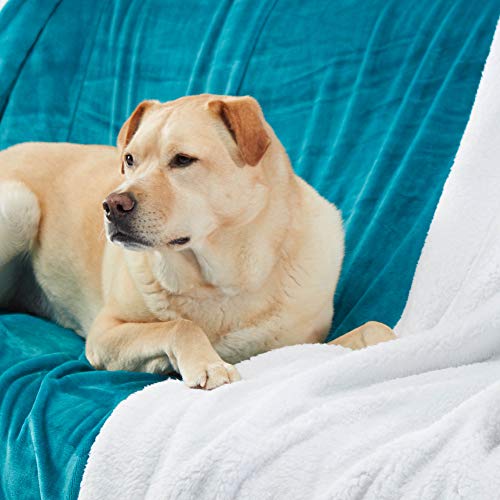 Sherpa Throw Blanket Super Soft Reversible Ultra Luxurious Plush Blanket, 50 x 60 inches, Teal/White - color: Teal / White, size: Throw (50" x 60")