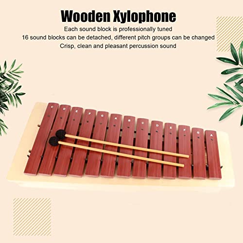 Semme 13 Pine Wood Orff Percussion Instrument for Kids with Storage Bag
