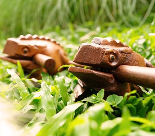 BSIRI 4" Frog Guiro Rasp - Small Instrument Musical Wooden Percussion Wood Block Instrument of Frog Noise Maker and Cool Music Gifts Ideas Funny Weird Instruments for Adults Made from Nature Wood - size: 4 Inches Size