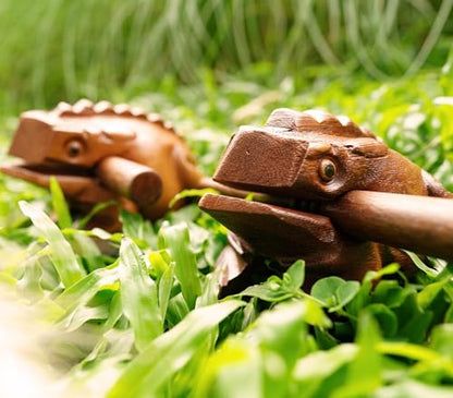 BSIRI 4" Frog Guiro Rasp - Small Instrument Musical Wooden Percussion Wood Block Instrument of Frog Noise Maker and Cool Music Gifts Ideas Funny Weird Instruments for Adults Made from Nature Wood - size: 4 Inches Size