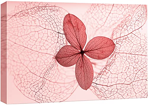 wall26 Canvas Print Wall Art High Contrast Transparent Pink Leaf Botanical Wilderness Photography Realism Modern Closeup Colorful Ultra for Living Room, Bedroom, Office - 12"x18" - color: Bse27-2107-36-slm09, size: 18"L x 12"W