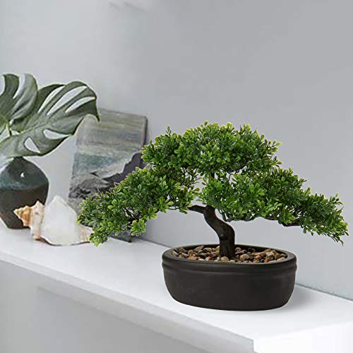 Artificial Bonsai Tree Juniper Faux Plants Indoor Small Fake Plants Decor with Ceramic Pots for Home Table Office Desk Bathroom Shelf Bedroom Living Room Farmhouse Decorations - style: 9" Ficus