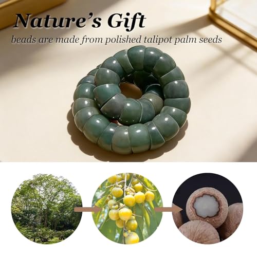 72ore Bodhi Bracelet Fidget Bracelet for Women Natural Bodhi Seed Bracelets Stretch Protection Healing Jewelry Anxiety Relief Items - color: A13:bodhi bracelet