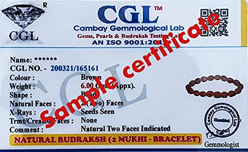 Rudraksha Bracelet for Men & Women's 2 Face, 3 Mukhi, 4 Mukhi, 5 Face, 6 Mukhi, 7 Mukhi, 8 Mukhi, 9 Mukhi, 10 Mukhi, 11 Mukhi Himalayan Rudraksha Beads Wrist Band for Yoga, Meditation, Healing - style: 2 Mukhi ( Two Faced)