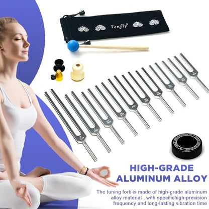 Solfeggio Tuning Fork Set - 10 Silver Tuning Forks Perfect for DNA Healing with Exquisite Aluminum Gift Box (174 Hz, 285 Hz, 396 Hz, 417 Hz, 432Hz, 528 Hz, 639 Hz, 741 Hz 852 Hz, 963 Hz) - color: Solfeggio silver B