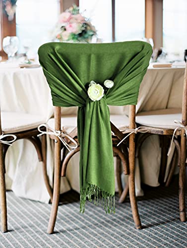 Sakkas 78" X 28" Rayon from Bamboo Soft Solid Pashmina Feel Shawl/Wrap/Stole - color: Apple Green