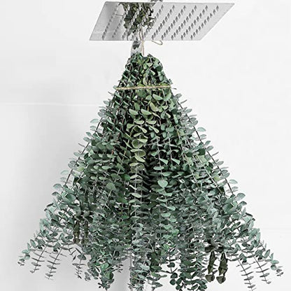 30 Pcs Dried Eucalyptus Stems 17" Real Eucalyptus for Shower Hanging 100% Made from Fresh Leaves, Wedding, Home, Farmhouse, DIY Spring Decor - size: 30 Pcs