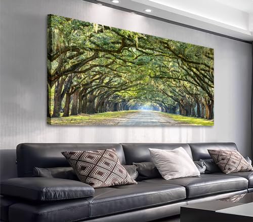 Forest Wall Art Nature Canvas Picture Landscape Canvas Artwork Living Room Bedroom Wall Decor Large Canvas Prints of Green Oak Trees Lined Road at Historic Wormsloe Plantation Savannah Georgia 20" x - color: Green Oak Trees, size: 40"L x 20"W
