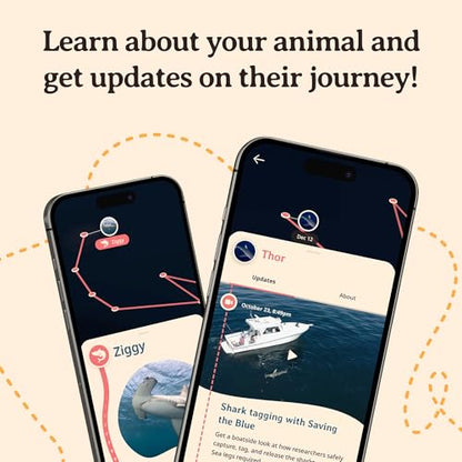 Fahlo Shark Tracking Bracelet – Track a Real Shark's Journey – Supports Wildlife Conservation – Elastic – on Interactive Mobile App Map – Unisex Ocean Conservation Gift - color: Lava Stone