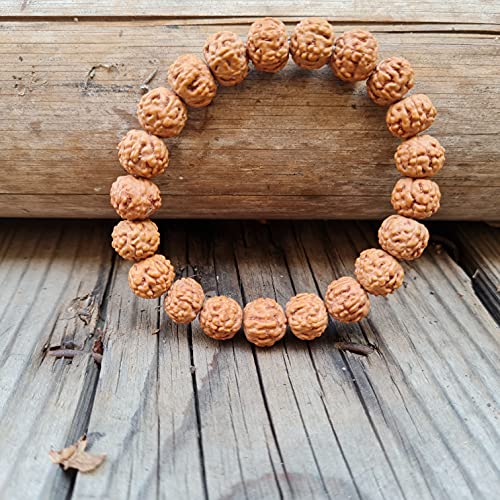 Rudraksha Bracelet for Men & Women's 2 Face, 3 Mukhi, 4 Mukhi, 5 Face, 6 Mukhi, 7 Mukhi, 8 Mukhi, 9 Mukhi, 10 Mukhi, 11 Mukhi Himalayan Rudraksha Beads Wrist Band for Yoga, Meditation, Healing - style: 6 Mukhi - Six Faced