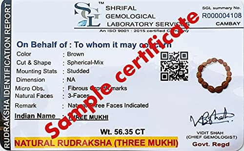 Rudraksha Bracelet for Men & Women's 2 Face, 3 Mukhi, 4 Mukhi, 5 Face, 6 Mukhi, 7 Mukhi, 8 Mukhi, 9 Mukhi, 10 Mukhi, 11 Mukhi Himalayan Rudraksha Beads Wrist Band for Yoga, Meditation, Healing - style: 3 Mukhi - Three Faced