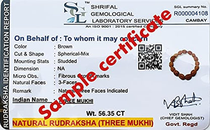 Rudraksha Bracelet for Men & Women's 2 Face, 3 Mukhi, 4 Mukhi, 5 Face, 6 Mukhi, 7 Mukhi, 8 Mukhi, 9 Mukhi, 10 Mukhi, 11 Mukhi Himalayan Rudraksha Beads Wrist Band for Yoga, Meditation, Healing - style: 3 Mukhi - Three Faced