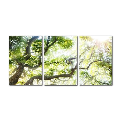 Pacimo Wall Art Set of 3 - Sunlight Shines Over Green Tree Canopy Nature Wilderness - Perfect for Modern Home Decor - Ideal Wall Decor for Living Room Bedroom Bathroom and Office (16"x24"x3) - color: Wallart-04, size: 16" x 24" x 3 panels