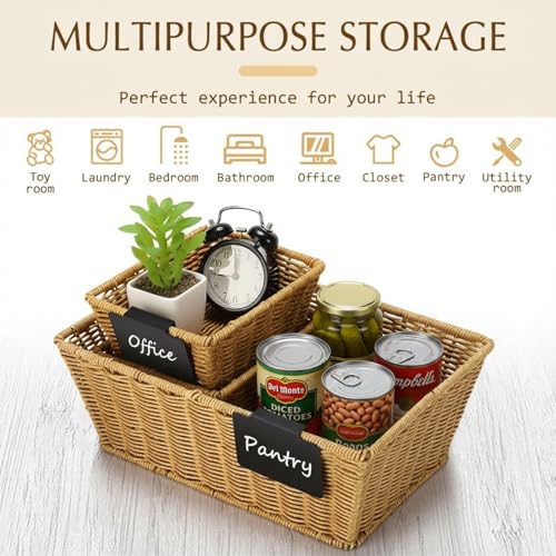 6 Pcs Wicker Storage Baskets with Labels Handwoven Multi-size Natural Wicker Storage Bins for Organizing Small Baskets Container for Shelves Closet Pantry Toilet(Natural)