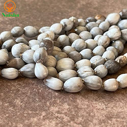 NAISHA ( Pack of 3 Tulsi Japa Mala, Kamal Gatta Mala (Lotus Seeds) & Original Vaijanti Mala White Bead 108+1 Beads