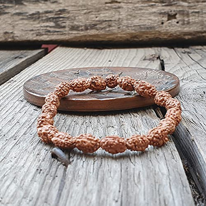 Rudraksha Bracelet for Men & Women's 2 Face, 3 Mukhi, 4 Mukhi, 5 Face, 6 Mukhi, 7 Mukhi, 8 Mukhi, 9 Mukhi, 10 Mukhi, 11 Mukhi Himalayan Rudraksha Beads Wrist Band for Yoga, Meditation, Healing - style: 2 Mukhi ( Two Faced)