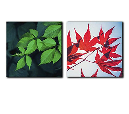 wall26-2 Panel Square Canvas Wall Art - Red Leaves and Green Leaves - Giclee Print Gallery Wrap Modern Home Art Ready to Hang - 12"x12" x 2 Panels - color: Red Leaves, size: 12" x 12" x 2 panels