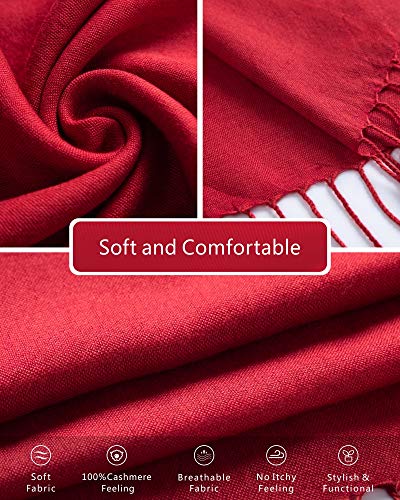 EURKEA Women's Scarf Pashmina Silky Soft Shawls Wraps Stole for Evening, Wedding and Gift - color: Rusty Red