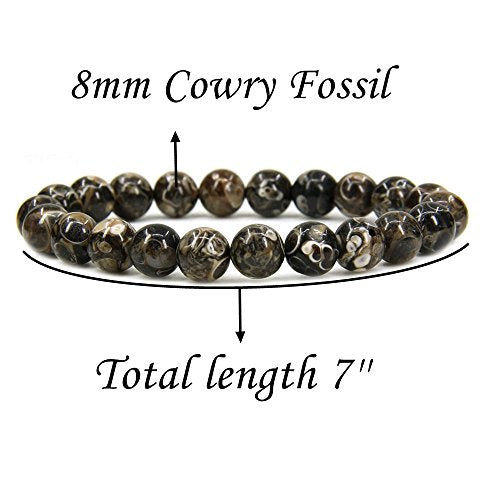 Amandastone Natural Gemstone 8mm Round Beads Stretch Bracelet 7 Inch - color: Cowry Fossil