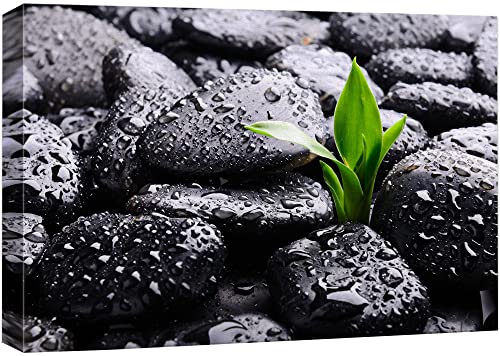 wall26 Canvas Print Wall Art Raindrops on Black Rocks with Sprouting Plant Floral Nature Photography Realism Bohemian Scenic Relax/Calm Cool for Living Room, Bedroom, Office - 12"x18" - color: 39. Rain Drops Over Black Rocks, size: 18"L x 12"W