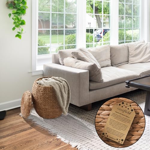 Casafield Round Storage Basket with Lid - Cinnamon, Handwoven Water Hyacinth Organizer for Laundry, Blankets, Plants, Bedroom, Living Room, Office