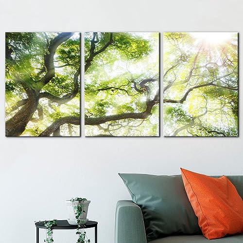 Pacimo Wall Art Sunlight Shines Over Green Tree Canopy Painting On Canvas Wall Decoration for Living Room Stretched and Framed Canvas Paintings 3 Piece Bedroom Wall Decor Office Home Decor - 20"x28"x3 - color: Wallart-04, size: 20" x 28" x 3 panels