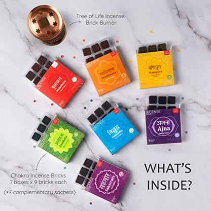 7 Chakra Incense Brick Super Set by Aromafume | 63 Bricks & Tree of Life Exotic Burner | Smokeless Incense Set for Chakra Balance | Yoga & Meditation Gifts | Incense Kit for Plexus, Root & More - color: Chakra Value Set