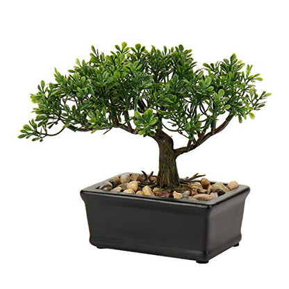 Artificial Bonsai Tree Juniper Faux Plants Indoor Small Fake Plants Decor with Ceramic Pots for Home Table Office Desk Bathroom Shelf Bedroom Living Room Farmhouse Decorations - style: 6" Ficus