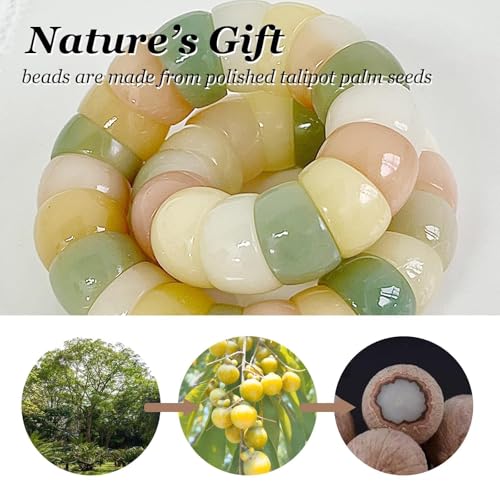 72ore Bodhi Bracelet Fidget Bracelet for Women Natural Bodhi Seed Bracelets Stretch Protection Healing Jewelry Anxiety Relief Items - color: A10:bodhi bracelet