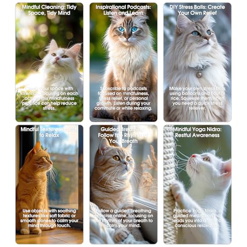 Against Anxiety Cards, 50 Cats Affirmation Cards for Stress Relief and Self Care Mindfulness