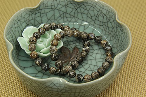 Amandastone Natural Gemstone 8mm Round Beads Stretch Bracelet 7 Inch - color: Cowry Fossil