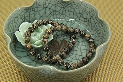 Amandastone Natural Gemstone 8mm Round Beads Stretch Bracelet 7 Inch - color: Cowry Fossil