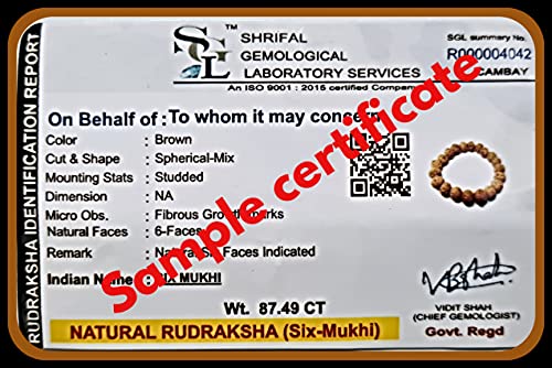 Rudraksha Bracelet for Men & Women's 2 Face, 3 Mukhi, 4 Mukhi, 5 Face, 6 Mukhi, 7 Mukhi, 8 Mukhi, 9 Mukhi, 10 Mukhi, 11 Mukhi Himalayan Rudraksha Beads Wrist Band for Yoga, Meditation, Healing - style: 6 Mukhi - Six Faced