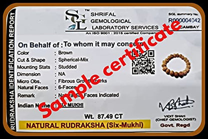 Rudraksha Bracelet for Men & Women's 2 Face, 3 Mukhi, 4 Mukhi, 5 Face, 6 Mukhi, 7 Mukhi, 8 Mukhi, 9 Mukhi, 10 Mukhi, 11 Mukhi Himalayan Rudraksha Beads Wrist Band for Yoga, Meditation, Healing - style: 6 Mukhi - Six Faced