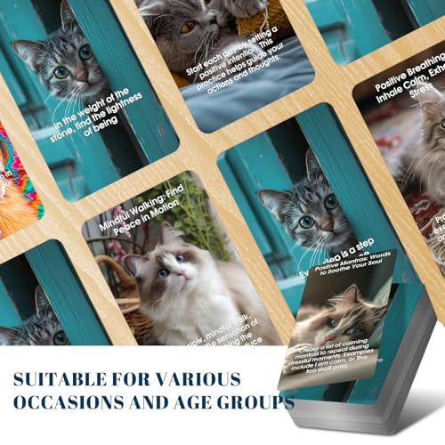Against Anxiety Cards, 50 Cats Affirmation Cards for Stress Relief and Self Care Mindfulness