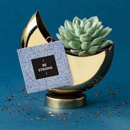 Compendium ThoughtFulls Pop-Open Cards — 2-Pack of You Matter, Be Strong — 60 Pop-Open Cards, Each with a Different Message Inside - color: You Matter, Be Strong