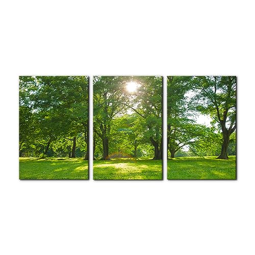 Pacimo Wall Art Canvas Painting Sunlight Green Forest Trees Posters and Prints Decorative Modern Home Decoration Rustic Landscape Wall Home Decor Wall Art for Living Room - 16" x 24" x 3 Panels - color: Wallart-02, size: 16" x 24" x 3 panels
