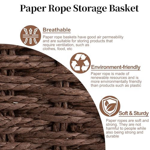 OIAHOMY Wicker Baskets, Paper Rope Storage Baskets for Organizing with Built-in Handles, 2 Packs-Brown