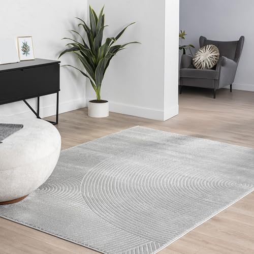 Abani Grey Area Rug for Living Room, Bedroom - Zen Reiki Pattern- 2 x 3 -Durable & Easy to Clean - color: Grey, size: 2' x 3' (Rectangular)