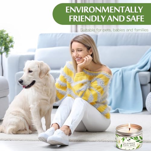 Sage Candles Gift Set, 6-Pack 6oz Natural Soy Wax Aromatherapy Candles, Clean Burn & Lead-Free Cotton Wicks, Calming Scents for Spiritual Meditation, Housewarming Birthday Self Care Gifts for Women - style: Sage Candles - 6 Pack