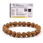 Himalayan Nepali Rudraksha Bracelet 5 face Authentic Genuine Certified Rudraksh Beads for Man & Woman Wearing & Puja Prayer Beaded Meditation - color: One Bracelet